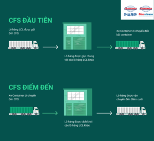 Lợi ích Cfs là gì
