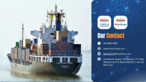 Sinovitrans Logistics Giải Pháp Giao Hàng Đường Biển Toàn Cầu Đáng Tin Cậy Trong Bối Cảnh Giá Cước Biến Động