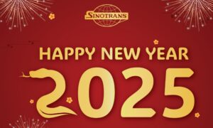 Happy New Year Sinotrans Việt Nam - 2025 (cover)